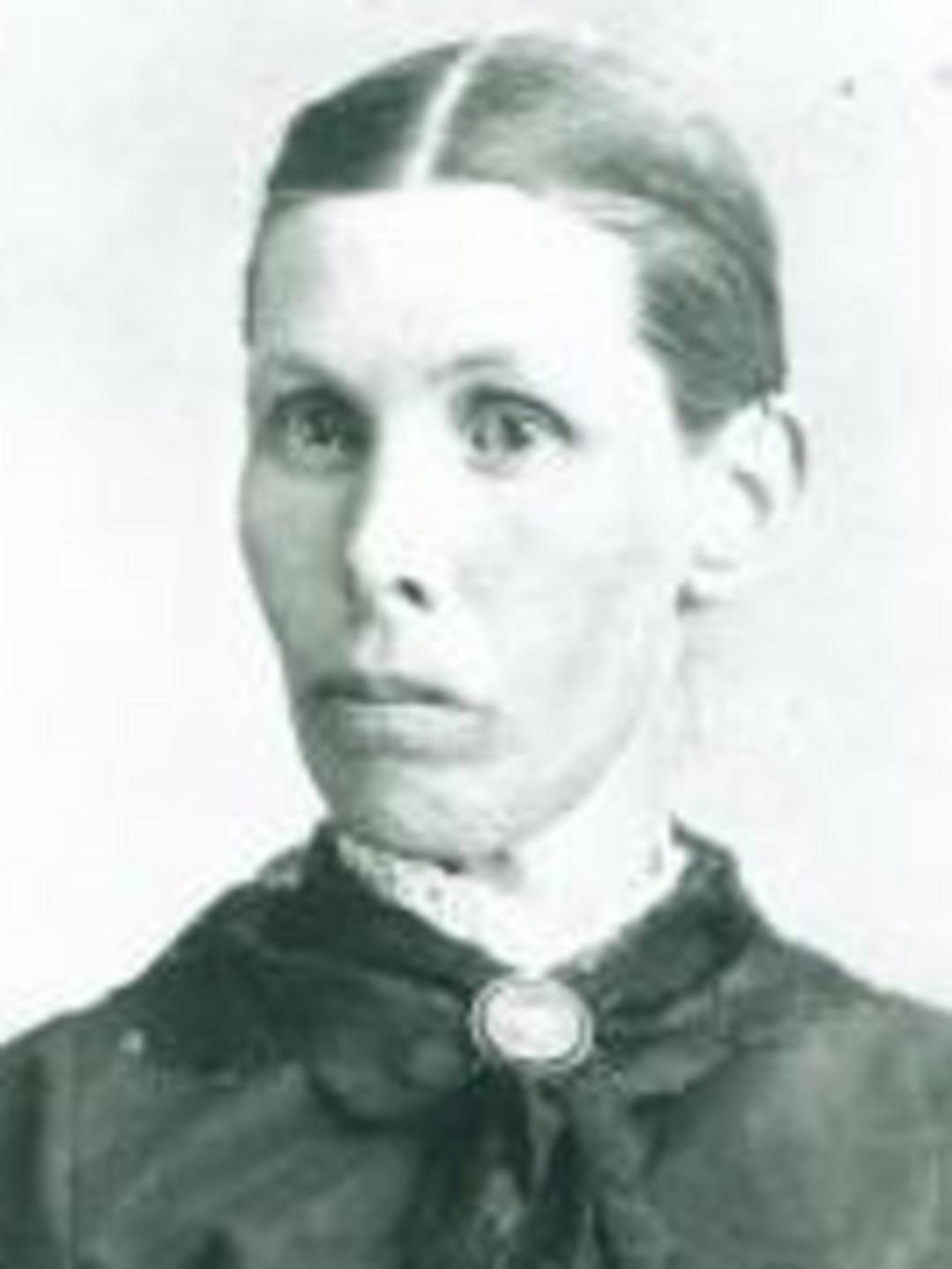 Mary Humphreys (1841 - 1907) Profile